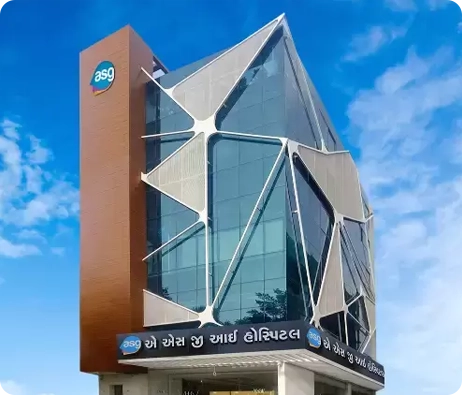 Athwa Gate, Surat