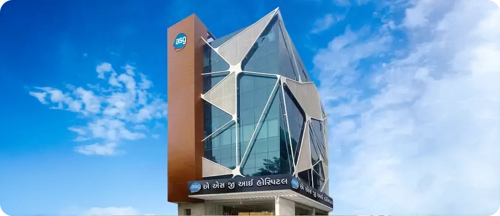 Athwa Gate, Surat