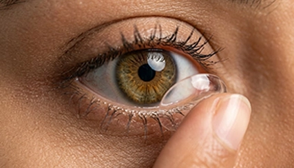 Soft Contact Lenses